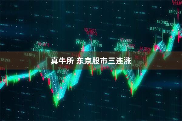 真牛所 东京股市三连涨