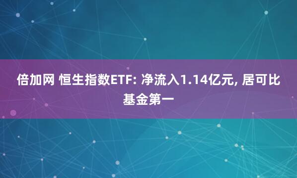 倍加网 恒生指数ETF: 净流入1.14亿元, 居可比基金第一