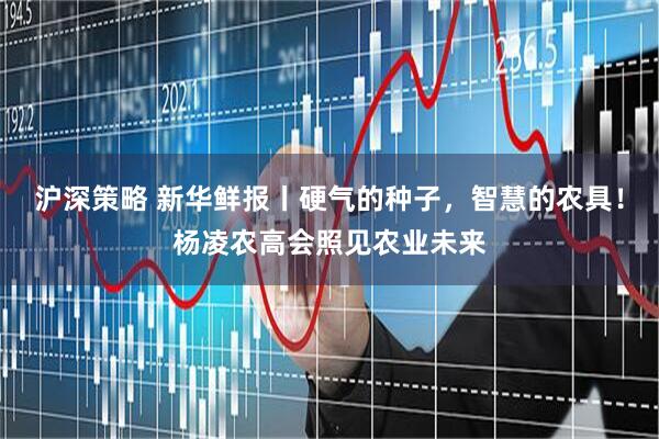 沪深策略 新华鲜报丨硬气的种子，智慧的农具！杨凌农高会照见农业未来