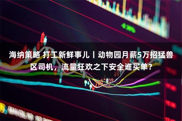 海纳策略 打工新鲜事儿丨动物园月薪5万招猛兽区司机，流量狂欢之下安全谁买单？