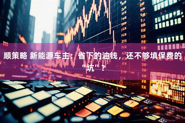 顺策略 新能源车主：省下的油钱，还不够填保费的“坑”？