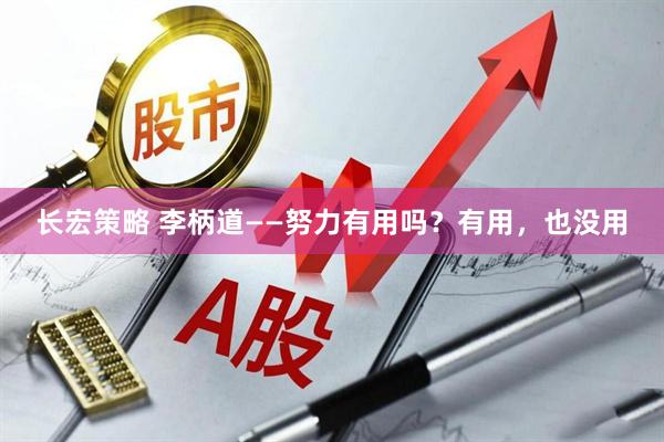 长宏策略 李柄道——努力有用吗？有用，也没用